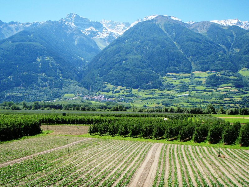 fertilerivervalleyontheroadtobolzano.jpg