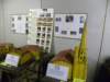 dscn4647_small.jpg
