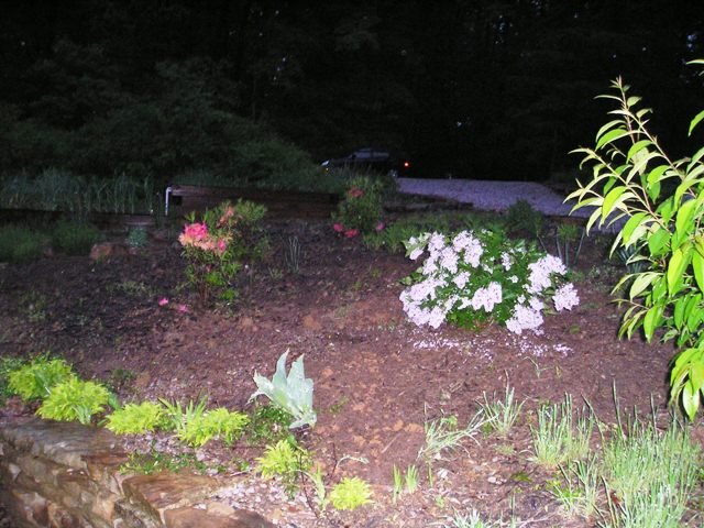 garden002.jpg